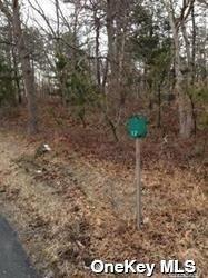 #5 photo, Middle Country Road, Middle Island , NY 11953