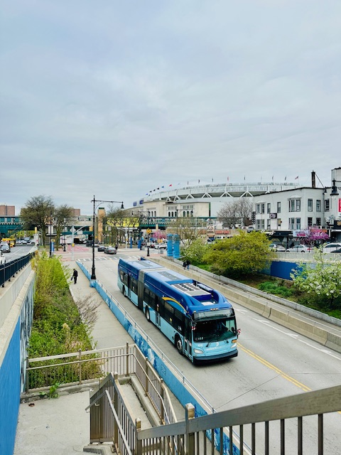 #13 photo, 299 E 161st Street, ブロンクス区 Concourse Village , NY 10451