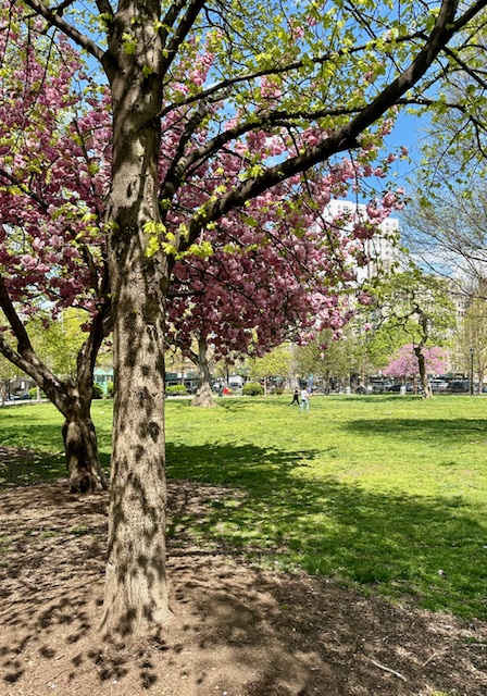 #8 photo, 299 E 161st Street, ブロンクス区 Concourse Village , NY 10451