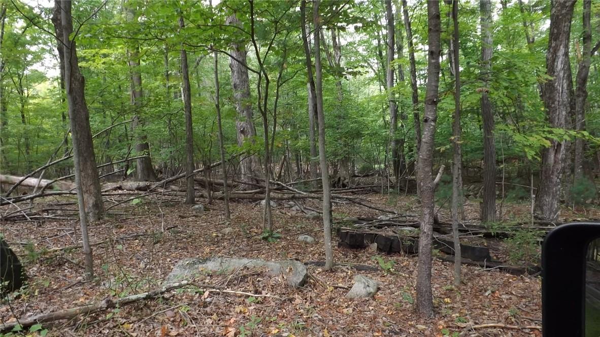 #11 photo, Roosa Gap Road, Wurtsboro , NY 12790