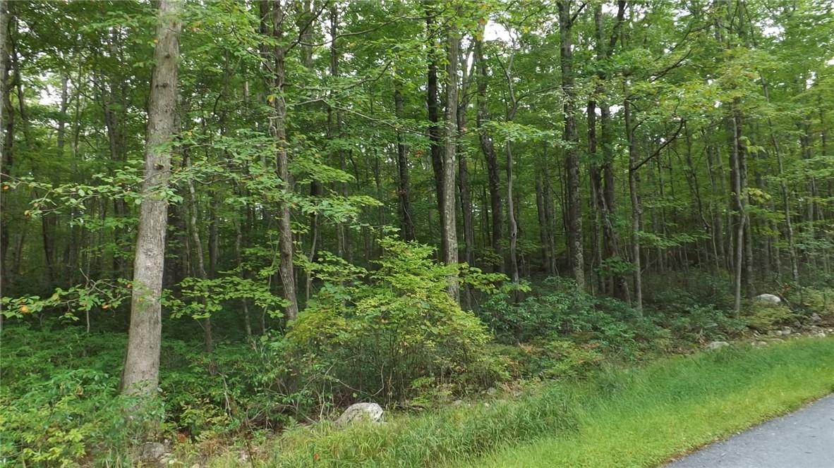 #13 photo, Roosa Gap Road, Wurtsboro , NY 12790