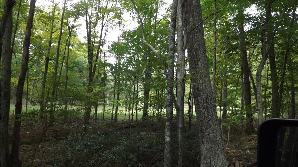 #16 photo, Roosa Gap Road, Wurtsboro , NY 12790