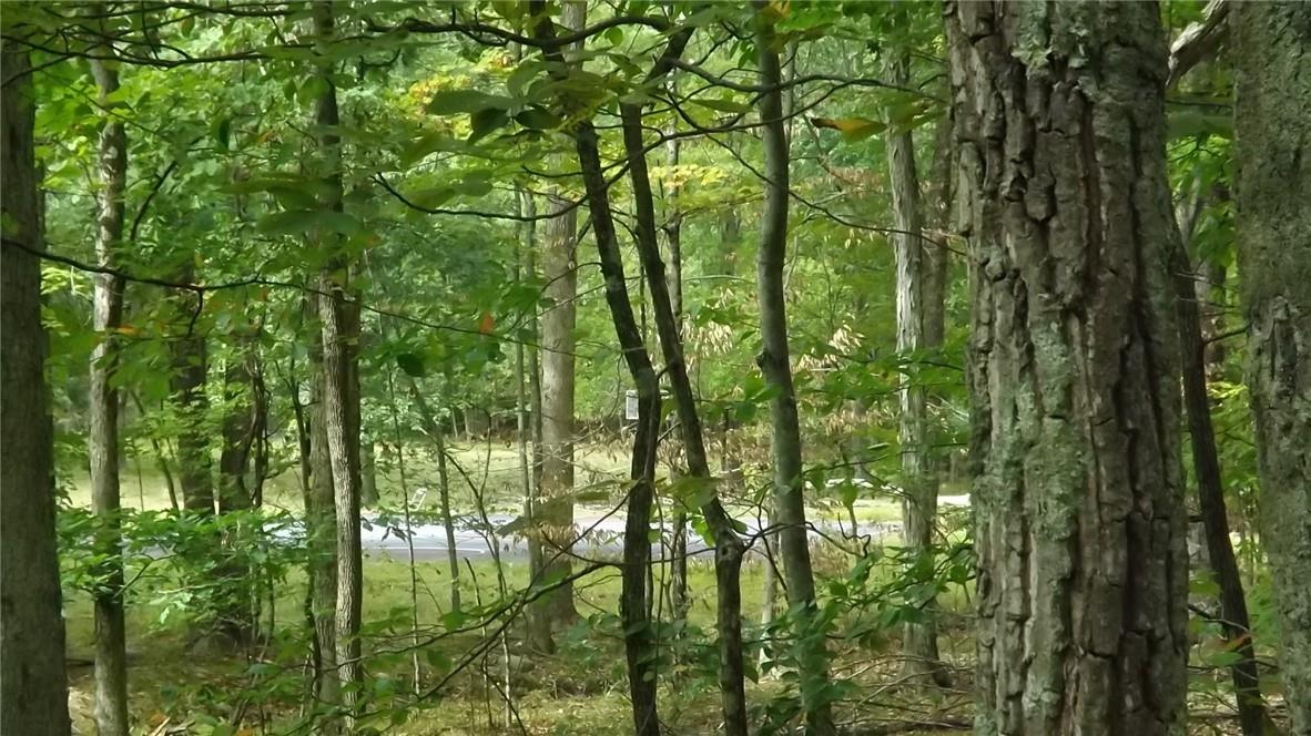 #17 photo, Roosa Gap Road, Wurtsboro , NY 12790