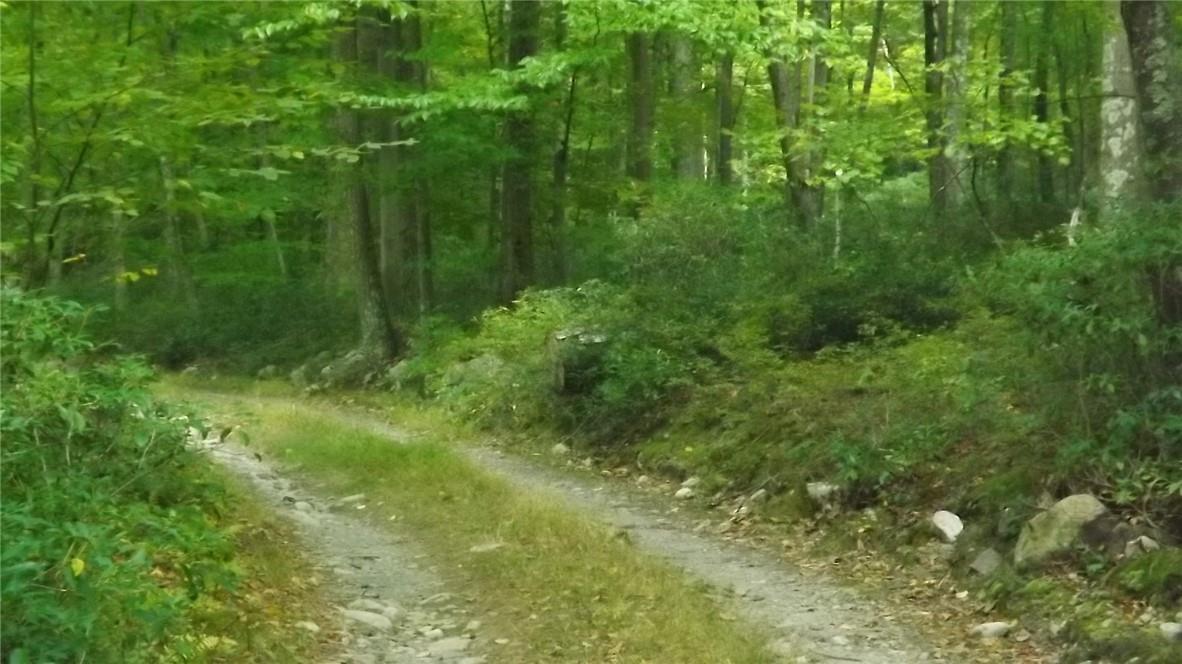 #18 photo, Roosa Gap Road, Wurtsboro , NY 12790