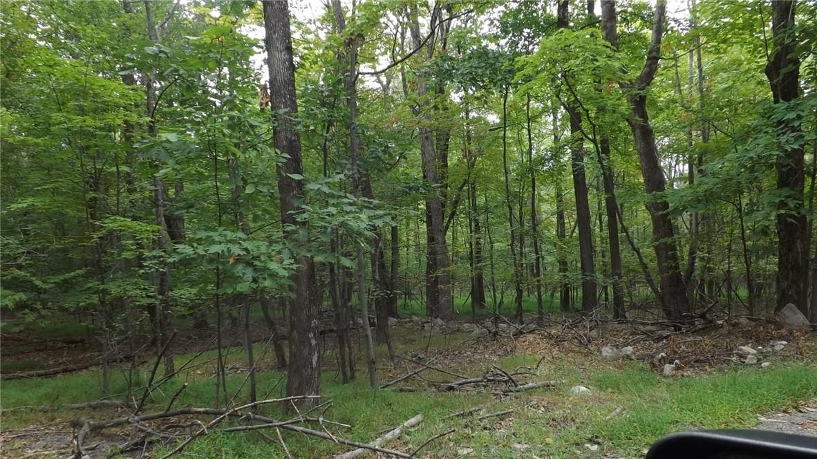 #20 photo, Roosa Gap Road, Wurtsboro , NY 12790