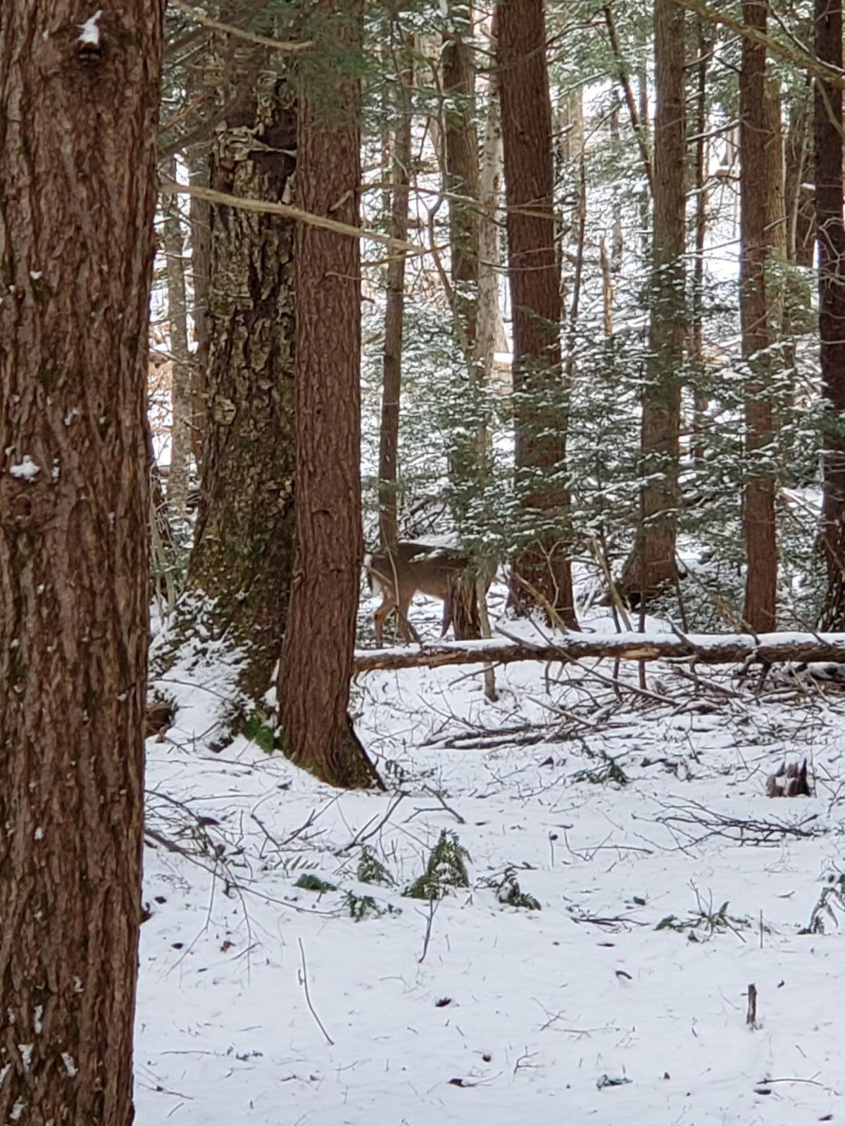 #8 photo, 174 Garlock Road, Caroga Lake , NY 12032