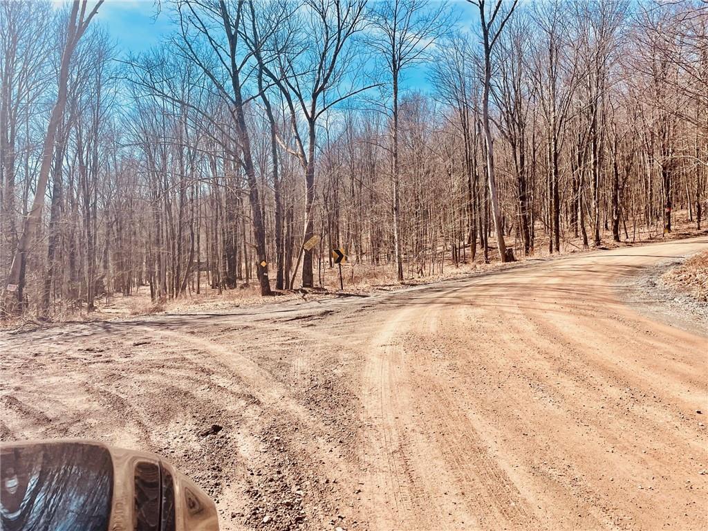 #4 photo, 340 Sherman Hill Road, Other , NY 13733