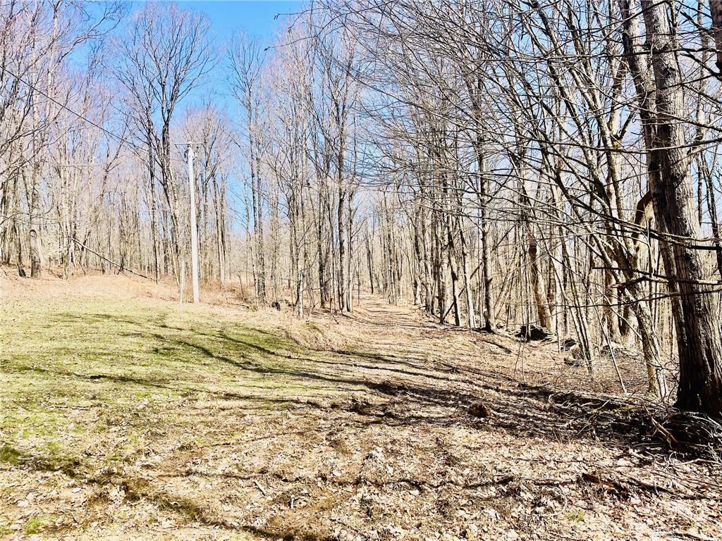 #6 photo, 340 Sherman Hill Road, Other , NY 13733