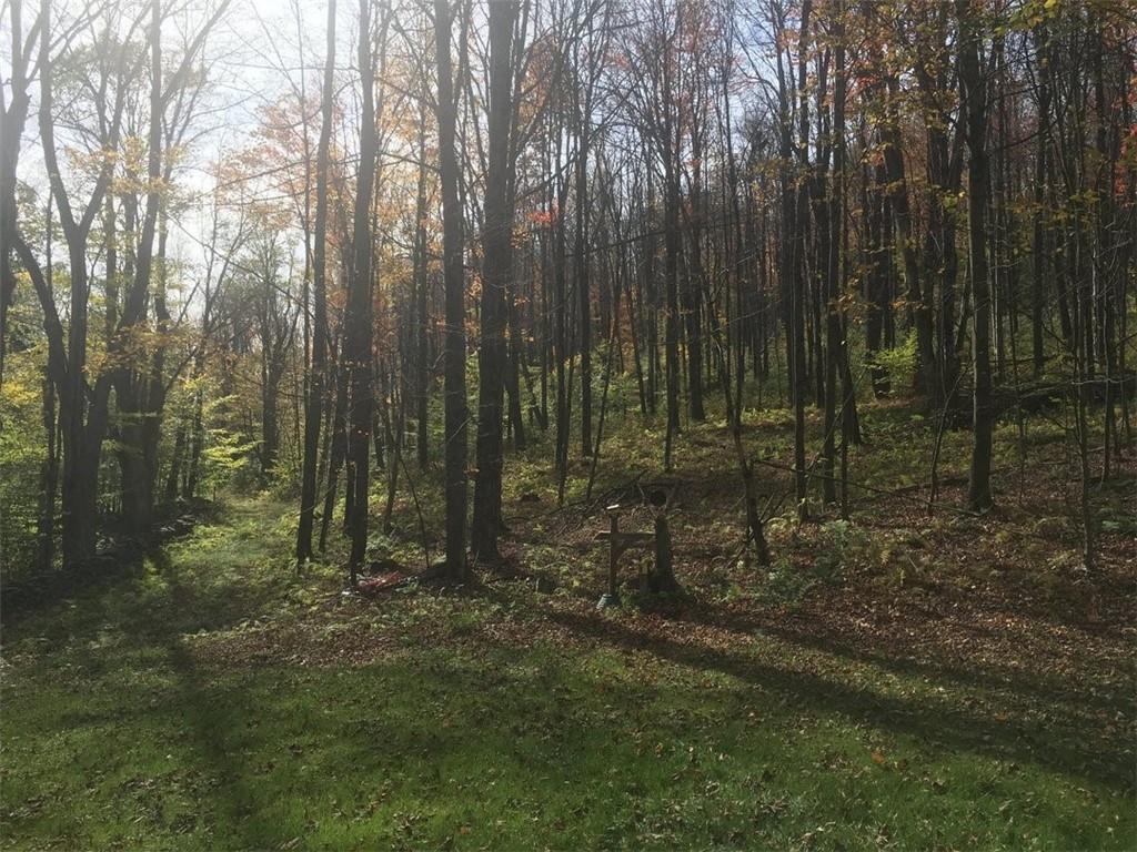 #8 photo, 340 Sherman Hill Road, Other , NY 13733