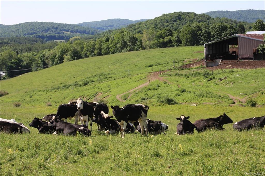 #3 photo, Yonderview Road, Hillsdale , NY 12529