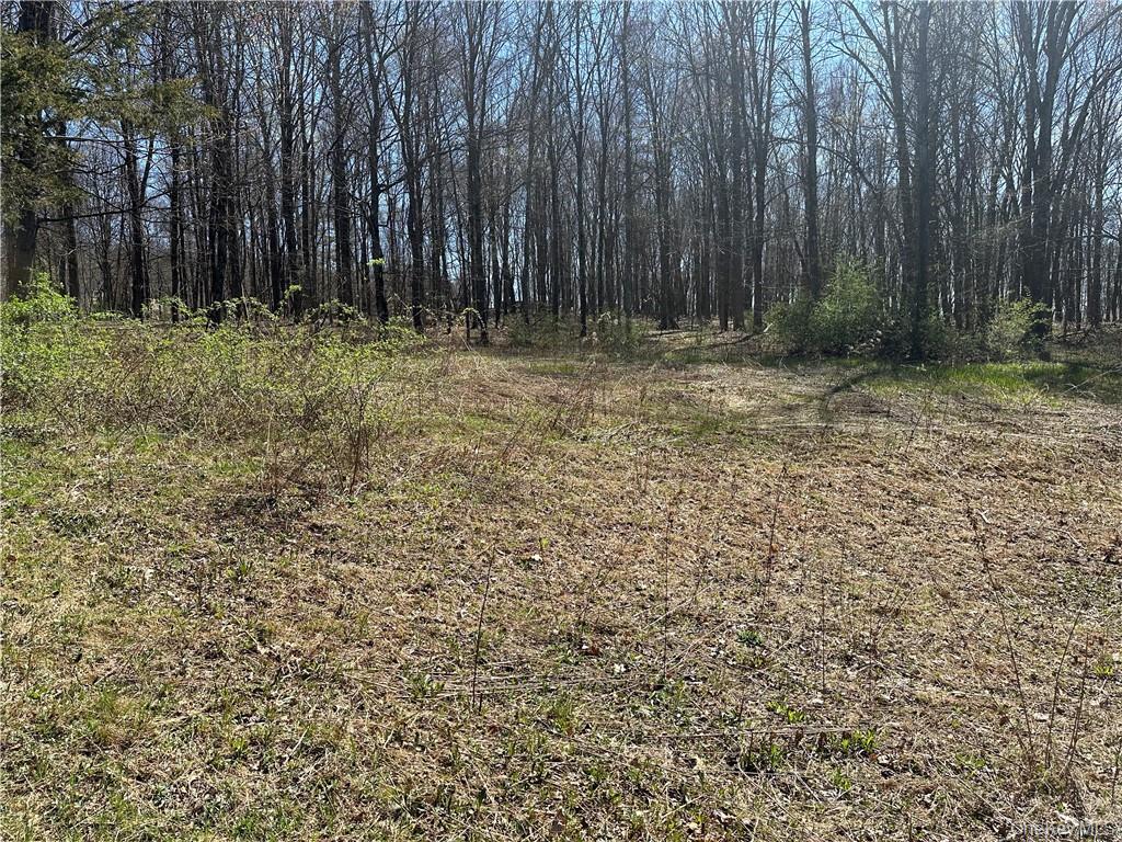 #4 photo, Cronk Road, Wallkill , NY 12589