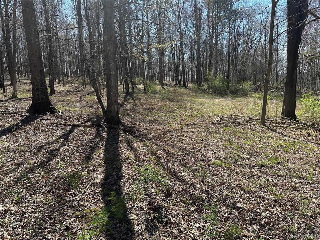 #6 photo, Cronk Road, Wallkill , NY 12589