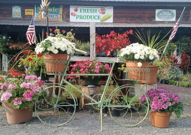 #17 photo, 729 State Route 9N, Ticonderoga , NY 12883