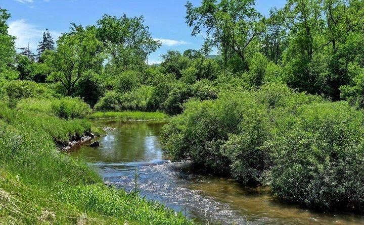 #32 photo, 729 State Route 9N, Ticonderoga , NY 12883