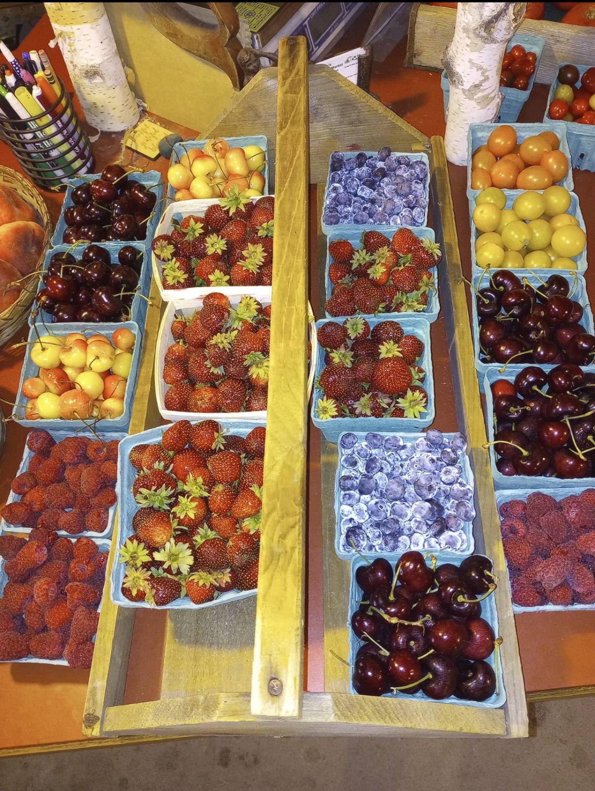 #13 photo, 729 State Route 9N, Ticonderoga , NY 12883