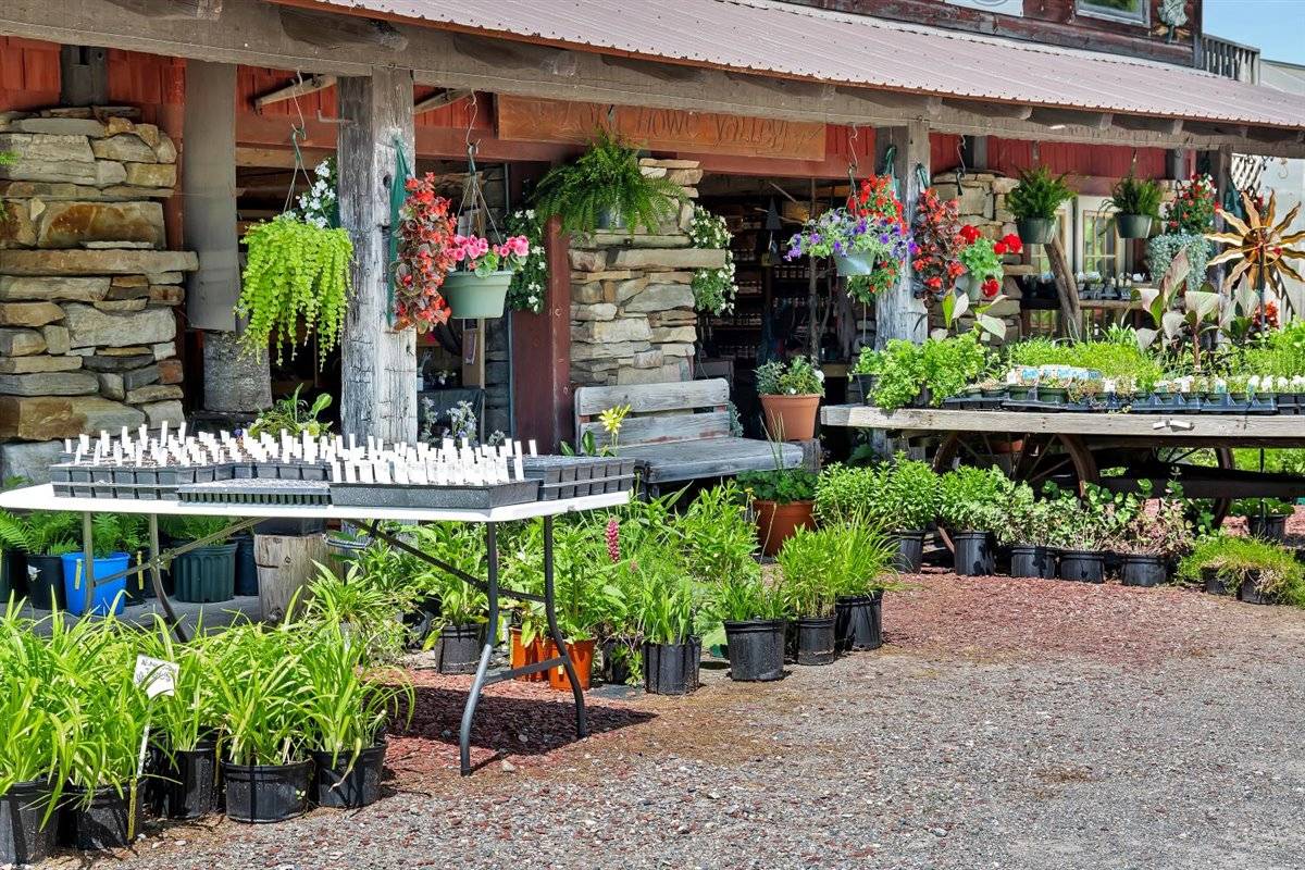 #19 photo, 729 State Route 9N, Ticonderoga , NY 12883