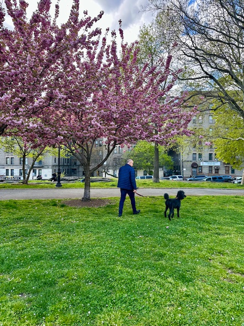 #20 photo, 299 E 161st Street, ブロンクス区 Concourse Village , NY 10451