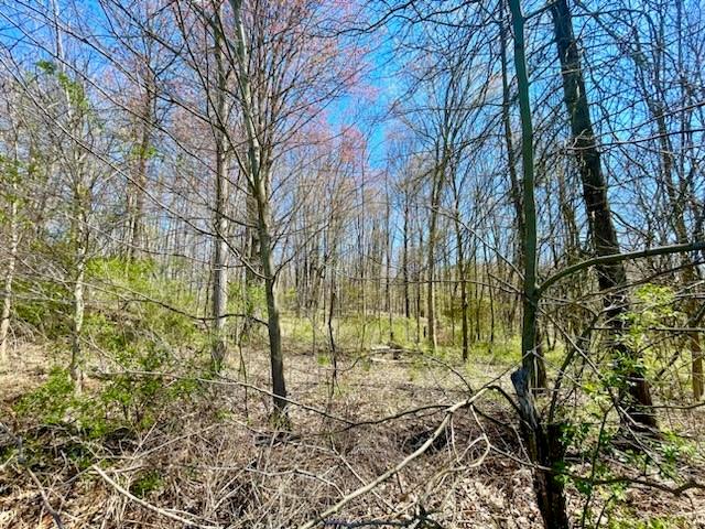 #11 photo, 414 Hoagerburgh Road, Pine Bush , NY 12566