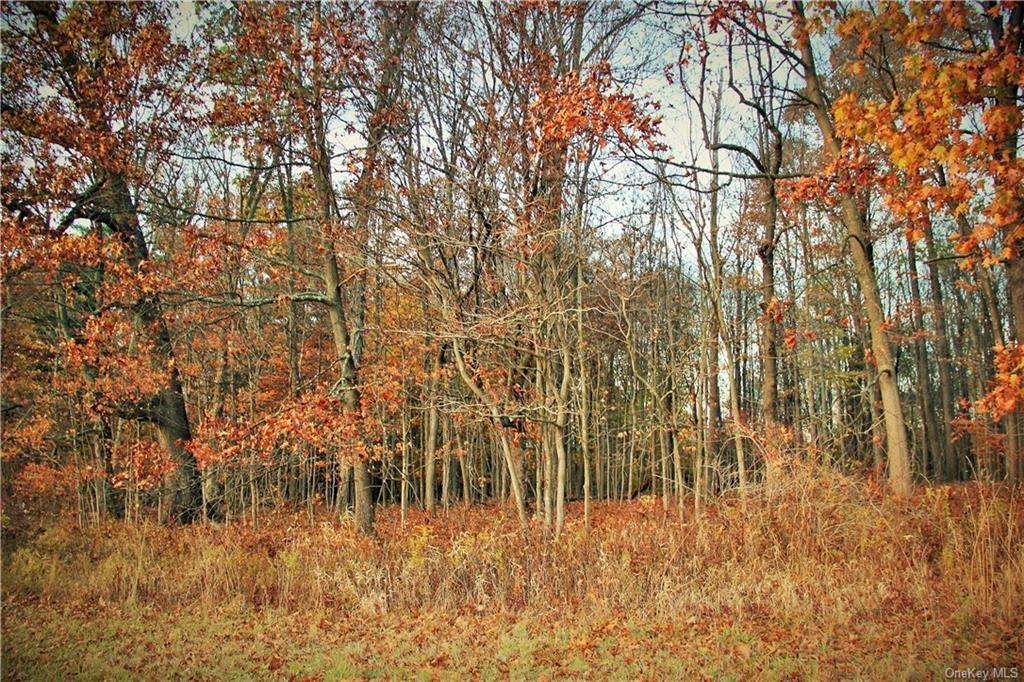 #14 photo, 414 Hoagerburgh Road, Pine Bush , NY 12566