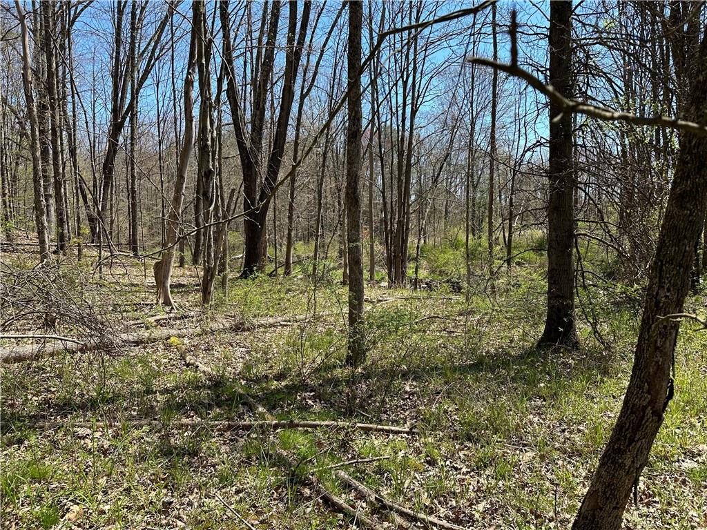 #4 photo, 414 Hoagerburgh Road, Pine Bush , NY 12566