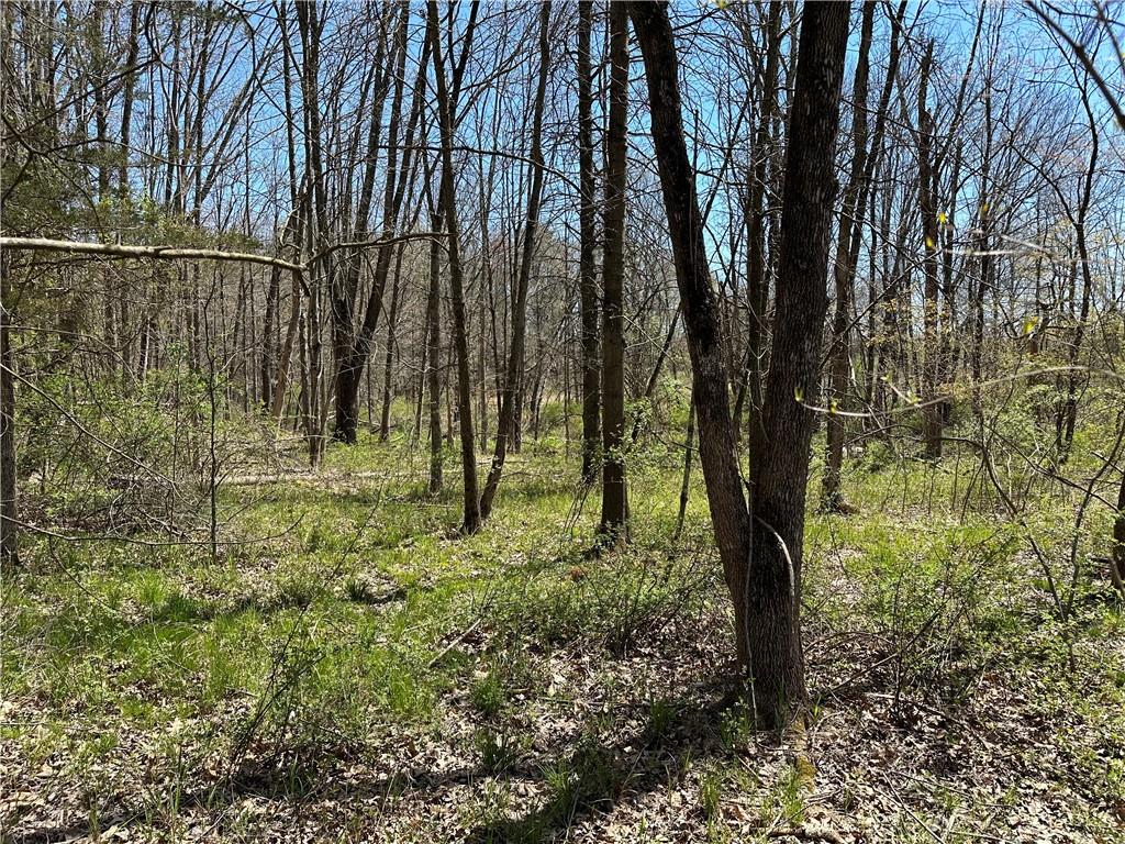 #6 photo, 414 Hoagerburgh Road, Pine Bush , NY 12566