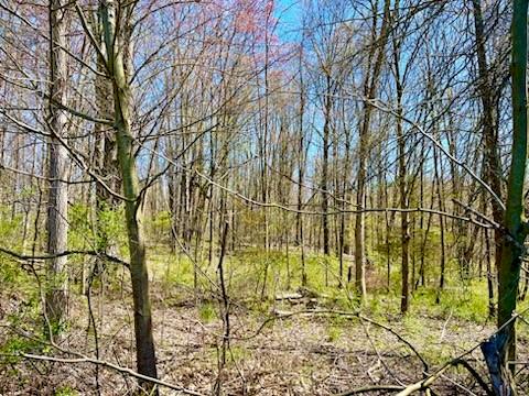 #9 photo, 414 Hoagerburgh Road, Pine Bush , NY 12566