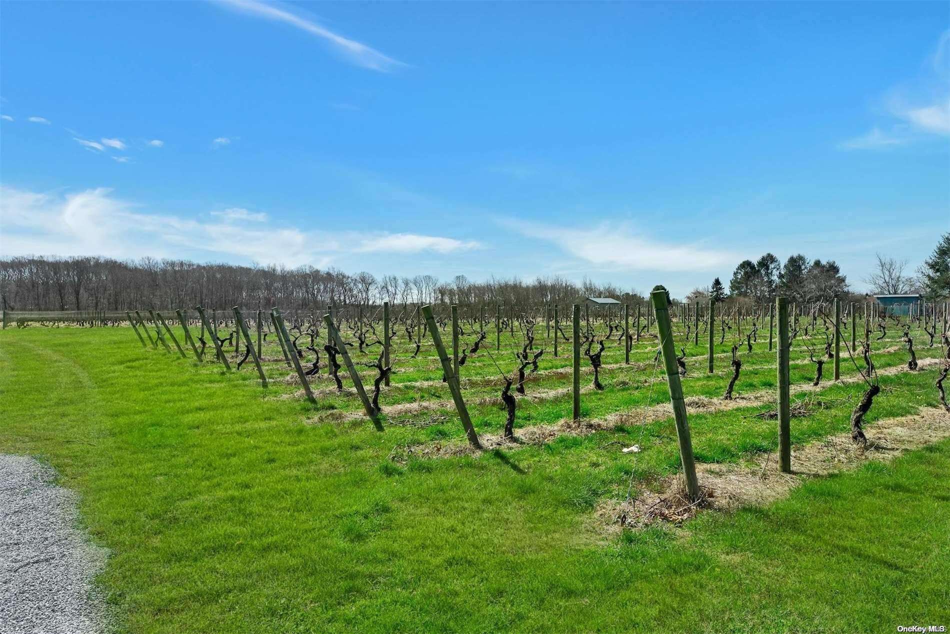 #19 photo, 18910 Middle Road, サフォーク郡 Cutchogue , NY 11935