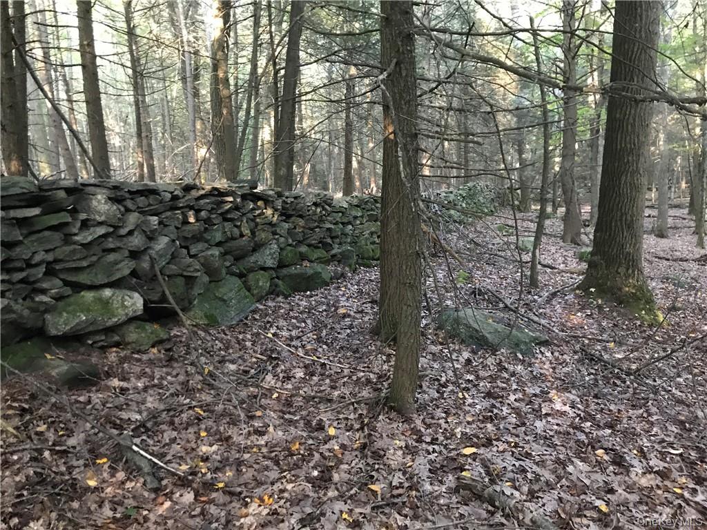 #10 photo, Rolling Meadow Lane, Pound Ridge , NY 10576