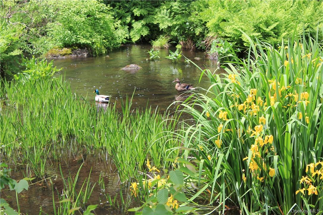 #8 photo, Rolling Meadow Lane, Pound Ridge , NY 10576