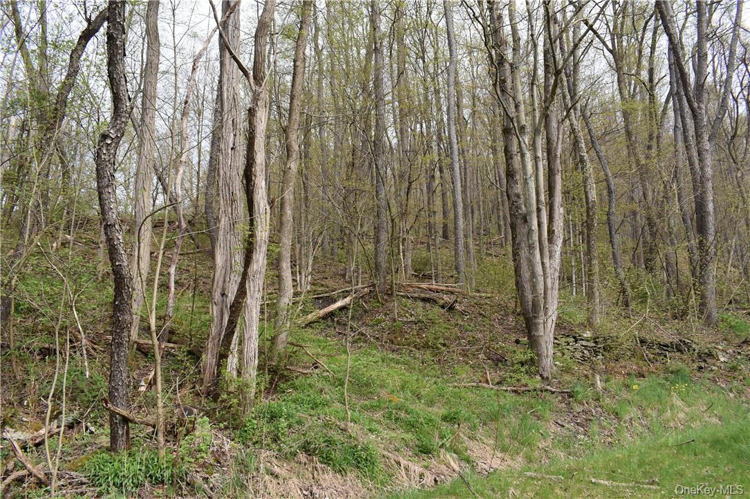 #10 photo, 29735 State Highway 10, Walton , NY 13856