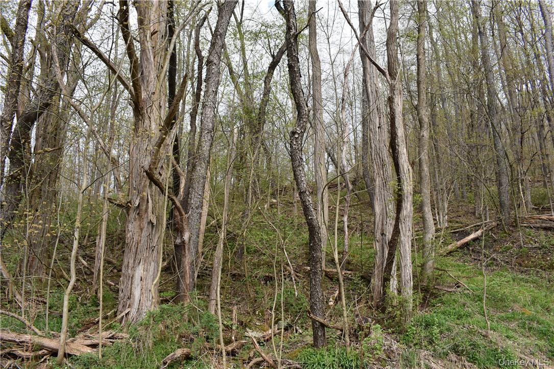 #11 photo, 29735 State Highway 10, Walton , NY 13856