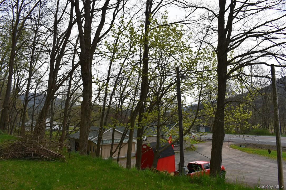 #12 photo, 29735 State Highway 10, Walton , NY 13856