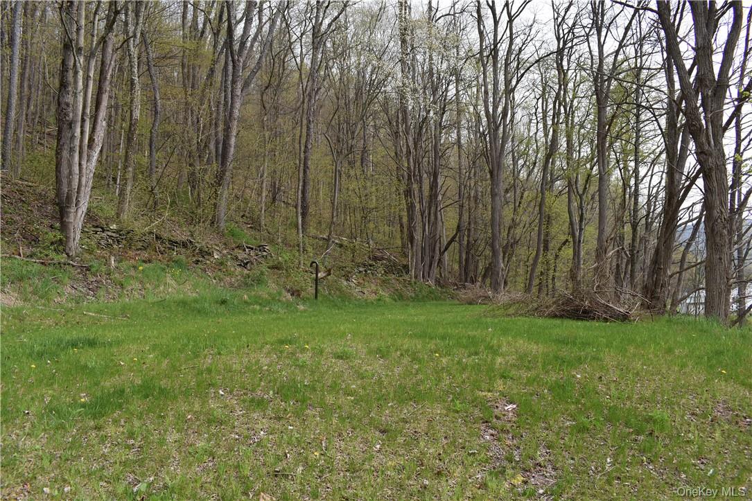 #7 photo, 29735 State Highway 10, Walton , NY 13856