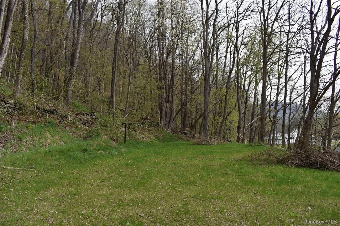 #8 photo, 29735 State Highway 10, Walton , NY 13856