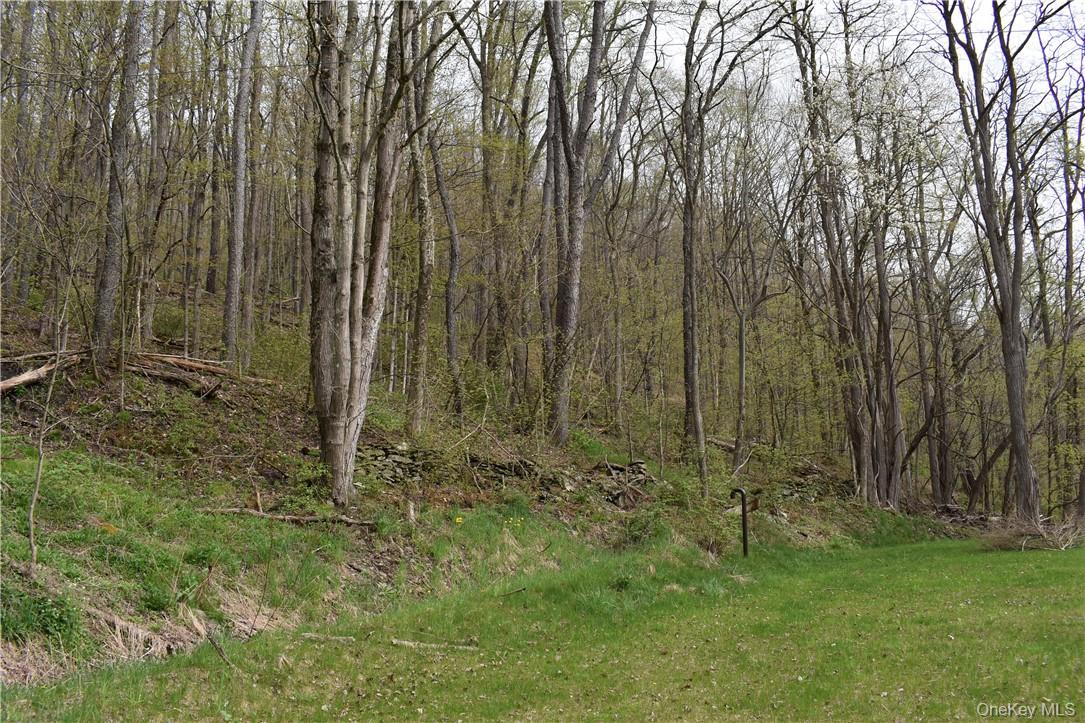 #9 photo, 29735 State Highway 10, Walton , NY 13856