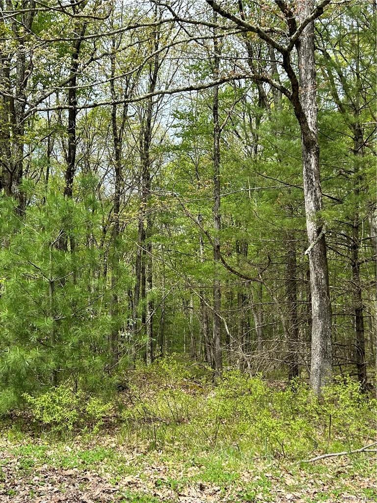 #2 photo, Split Rock Drive, Barryville , NY 12719