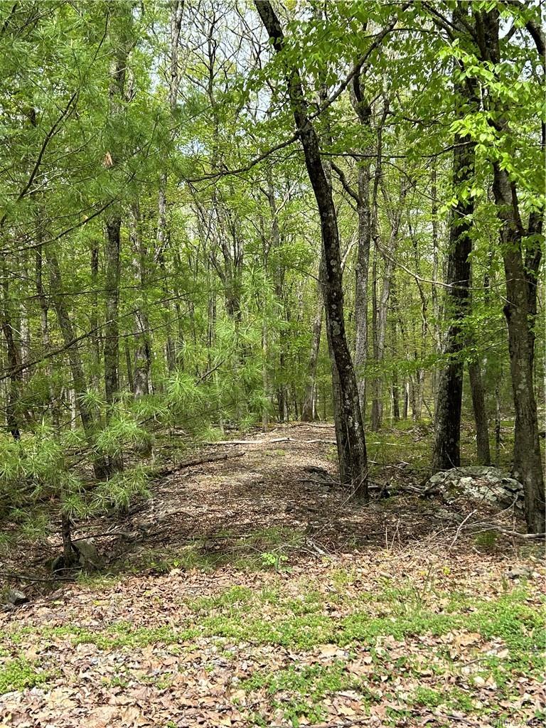 #3 photo, Split Rock Drive, Barryville , NY 12719