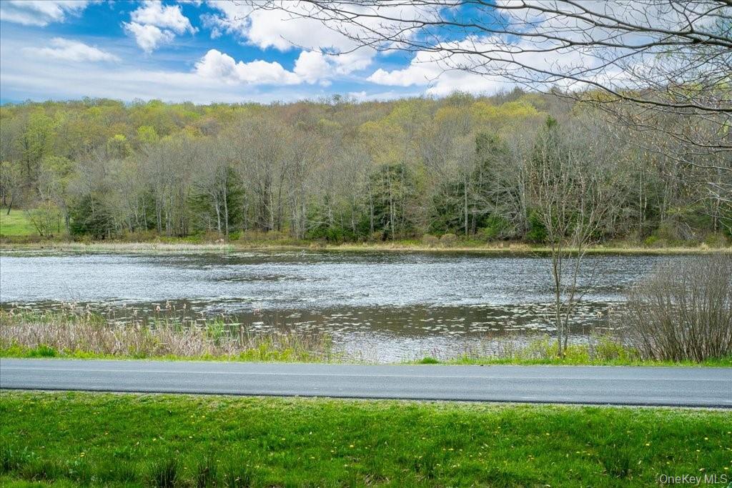 #4 photo, 307 Beaver Lake Road, Livingston Manor , NY 12758