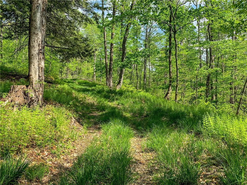 #10 photo, County Highway 44, Other , NY 13849