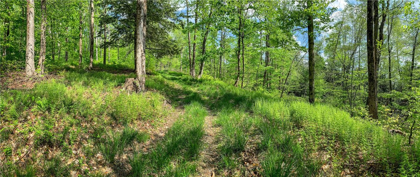 #11 photo, County Highway 44, Other , NY 13849