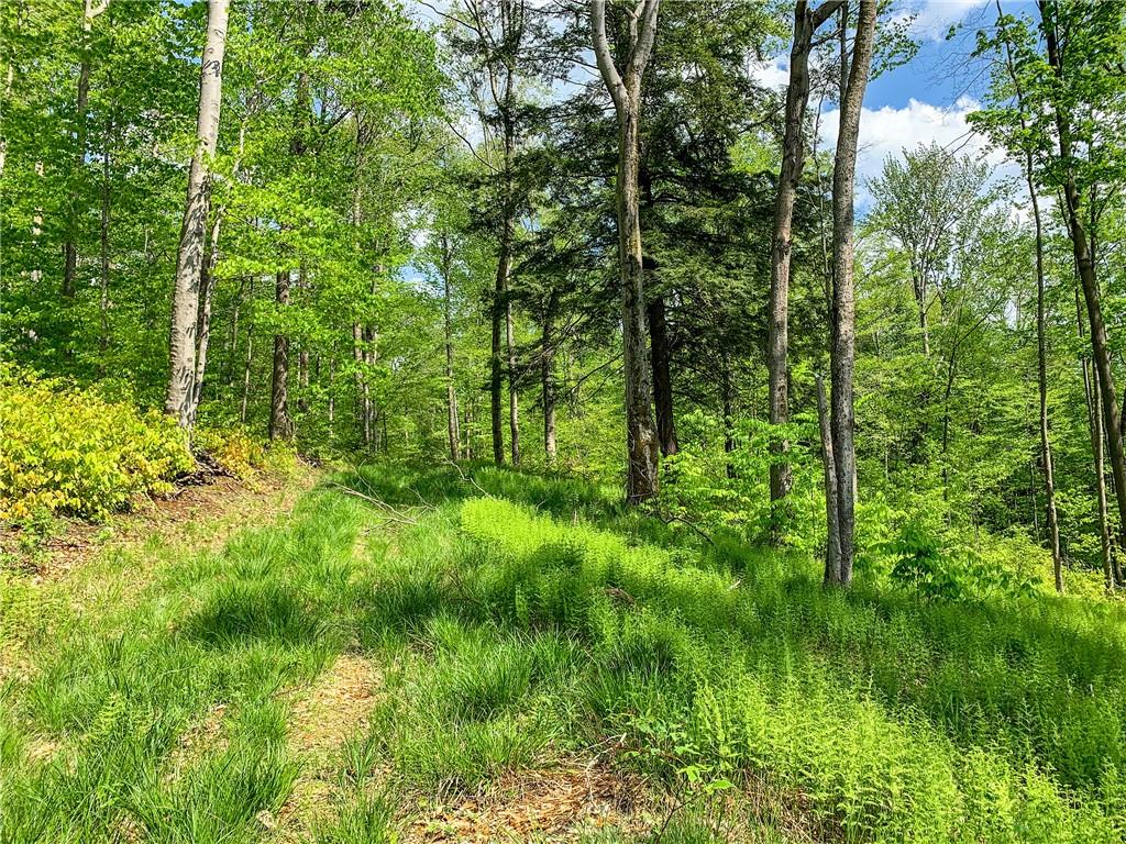 #12 photo, County Highway 44, Other , NY 13849