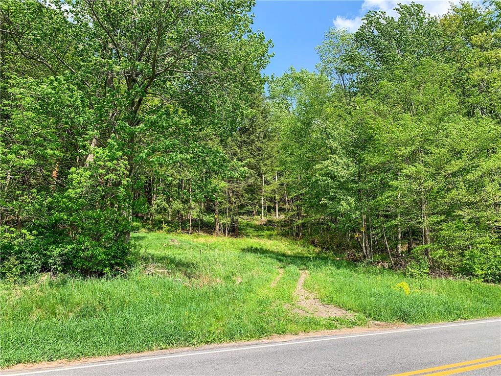 #13 photo, County Highway 44, Other , NY 13849