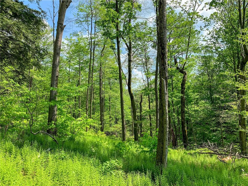 #14 photo, County Highway 44, Other , NY 13849