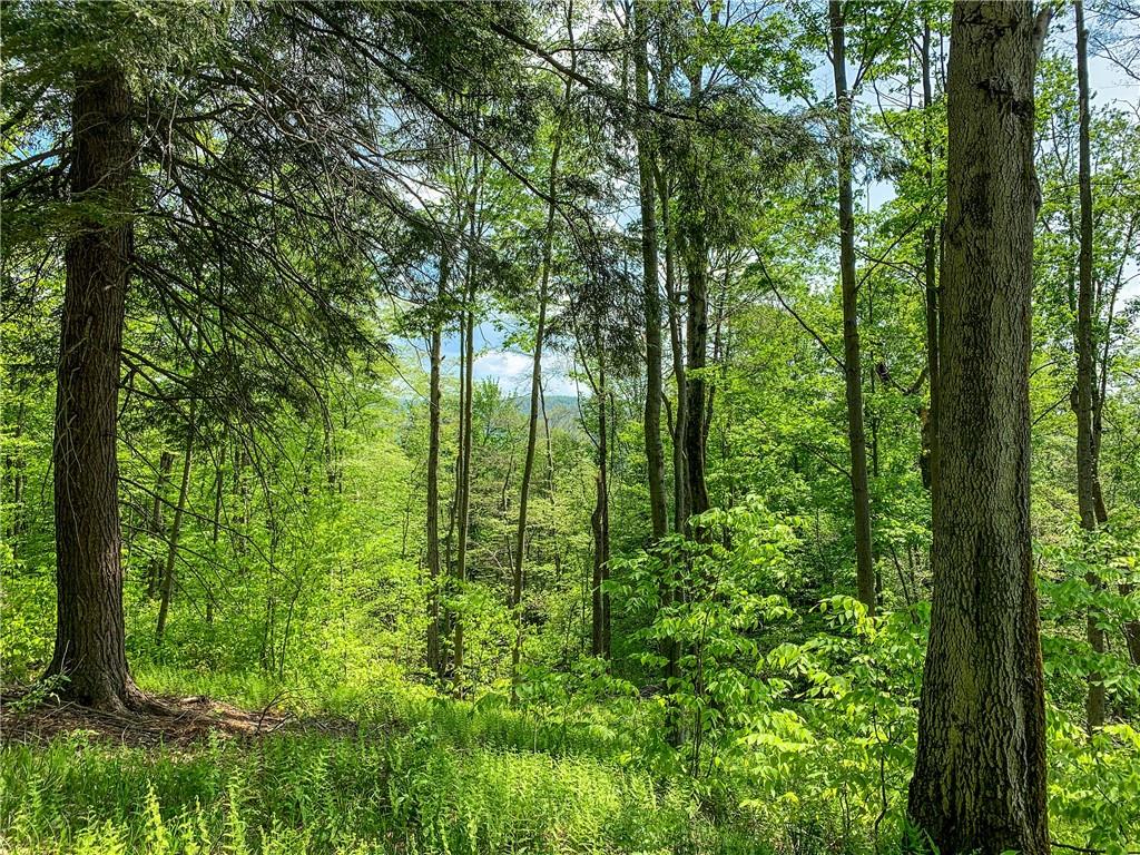 #15 photo, County Highway 44, Other , NY 13849