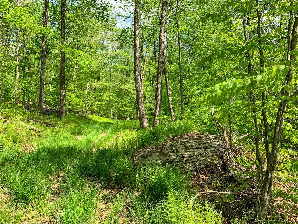 #16 photo, County Highway 44, Other , NY 13849