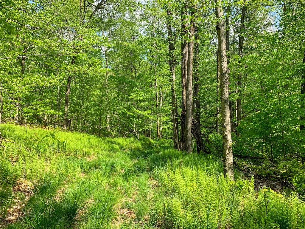 #17 photo, County Highway 44, Other , NY 13849