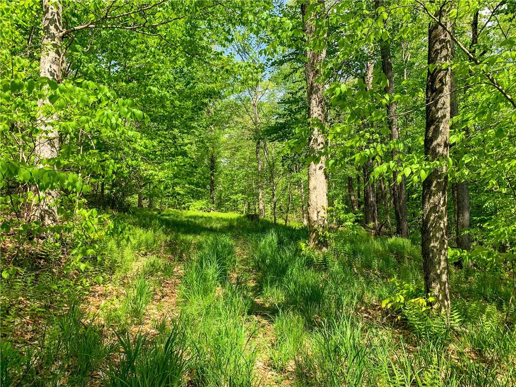 #18 photo, County Highway 44, Other , NY 13849