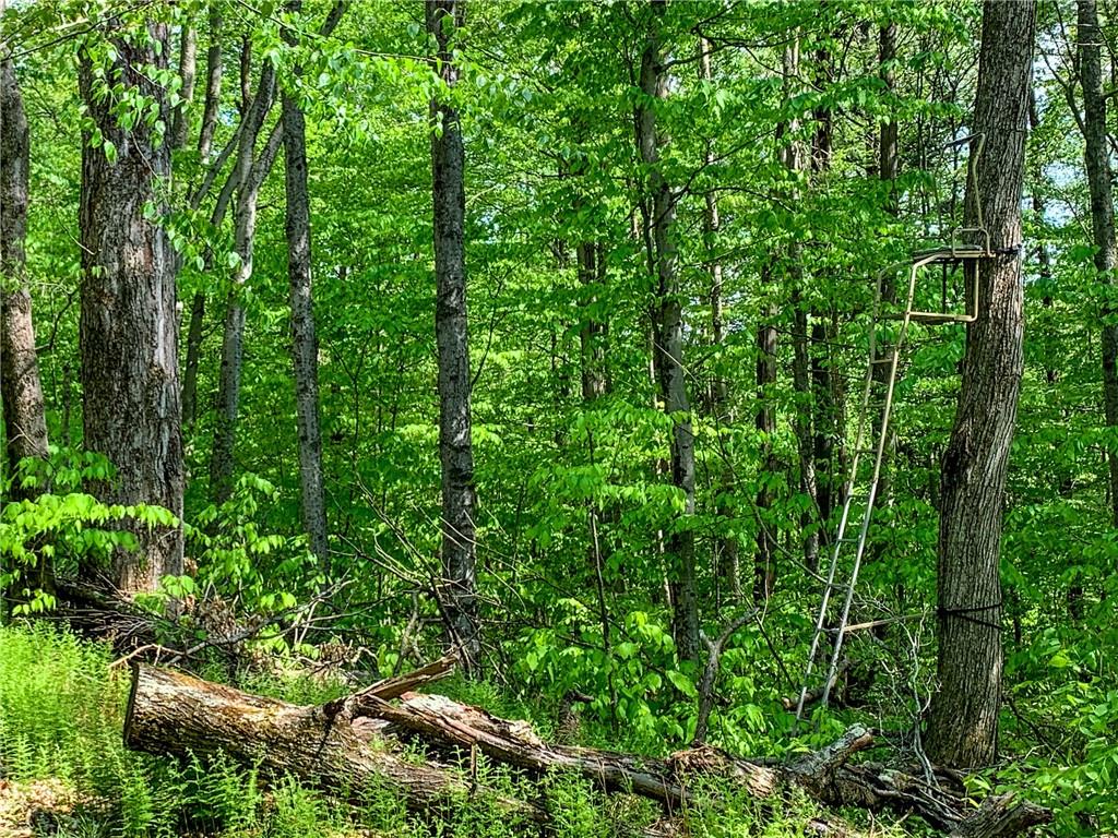 #19 photo, County Highway 44, Other , NY 13849