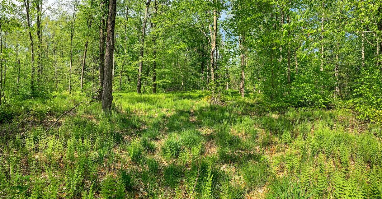 #20 photo, County Highway 44, Other , NY 13849