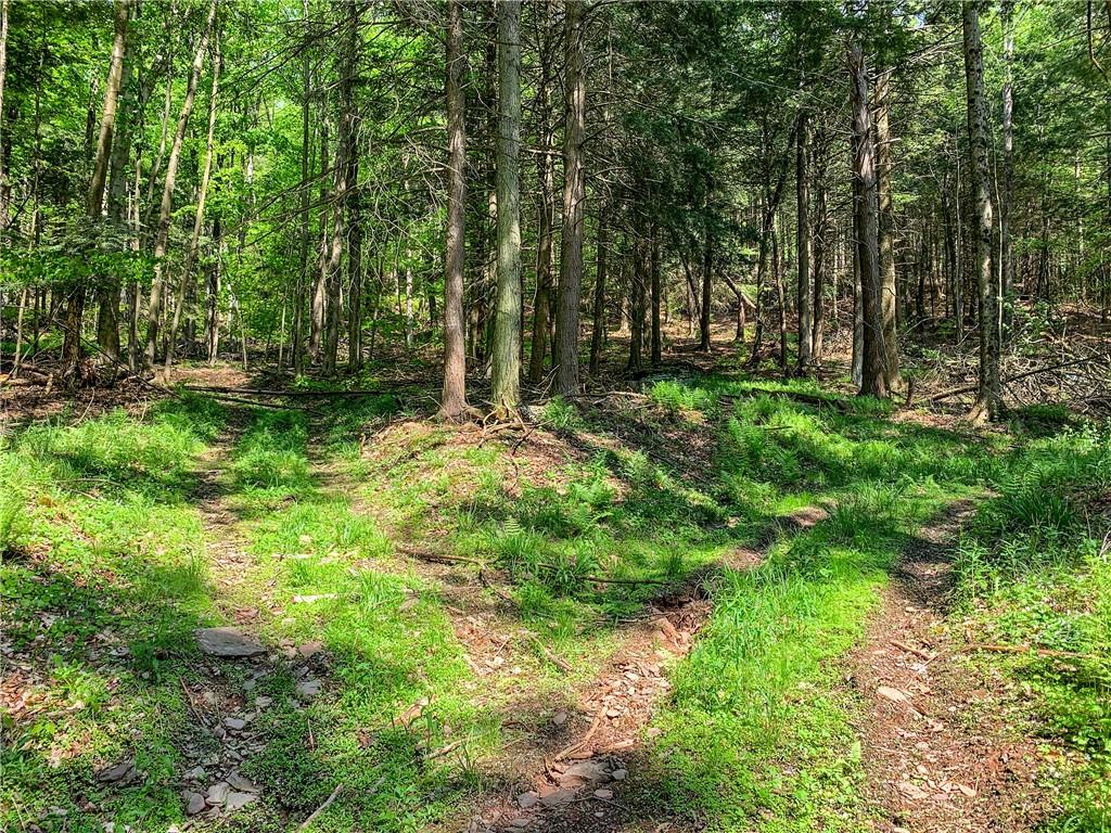 #3 photo, County Highway 44, Other , NY 13849